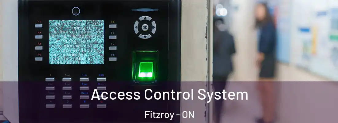  Access Control System Fitzroy - ON