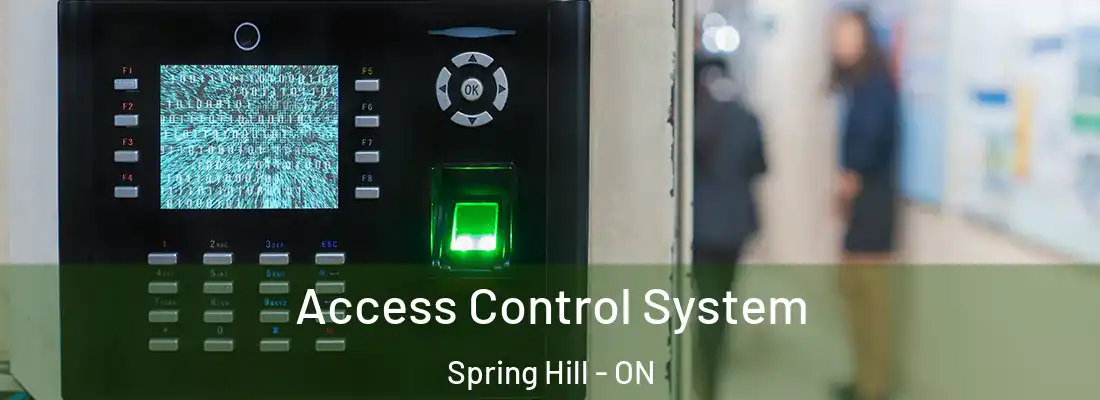  Access Control System Spring Hill - ON