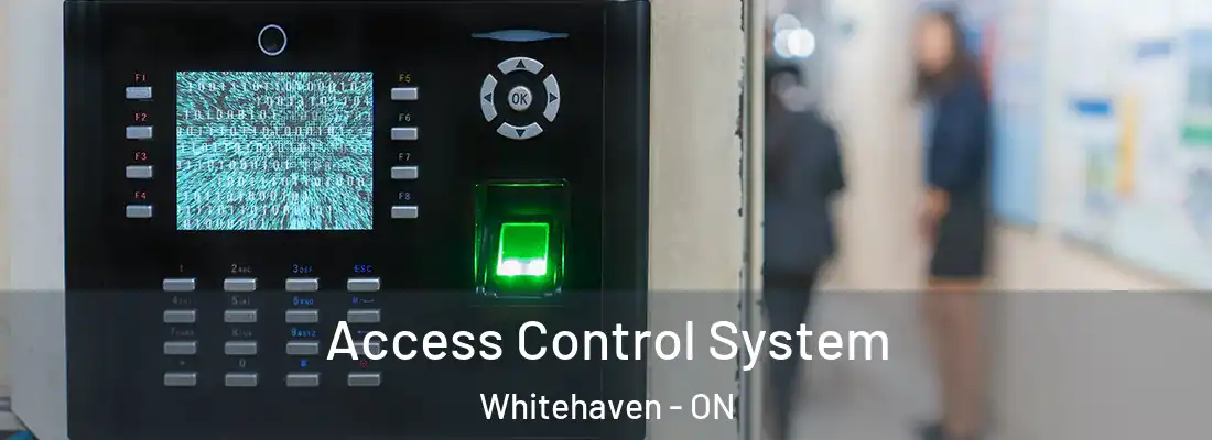  Access Control System Whitehaven - ON