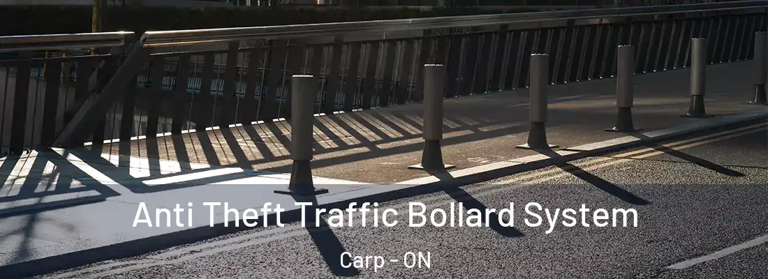  Anti Theft Traffic Bollard System Carp - ON