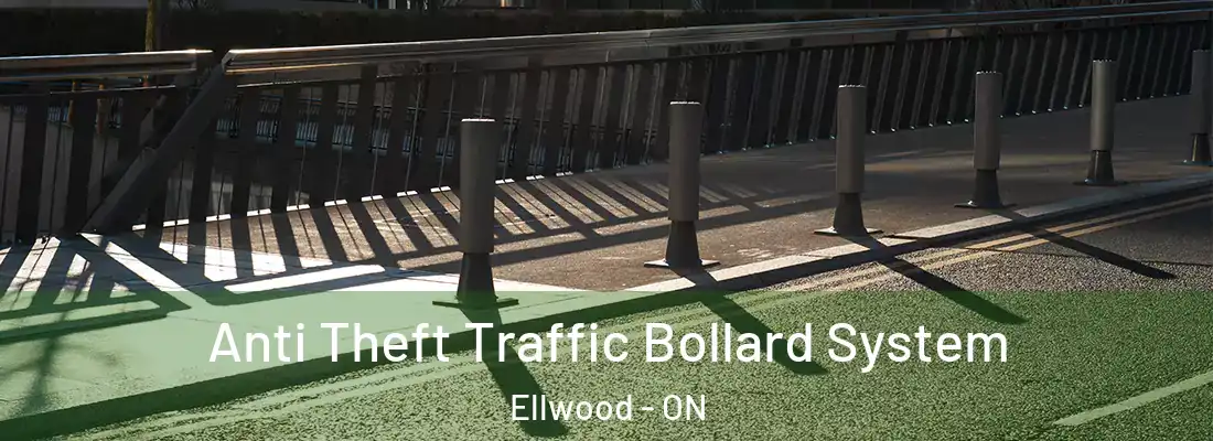  Anti Theft Traffic Bollard System Ellwood - ON