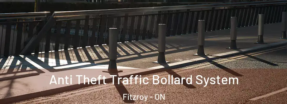  Anti Theft Traffic Bollard System Fitzroy - ON