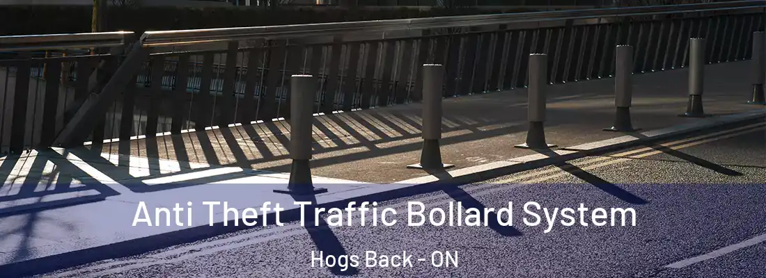  Anti Theft Traffic Bollard System Hogs Back - ON