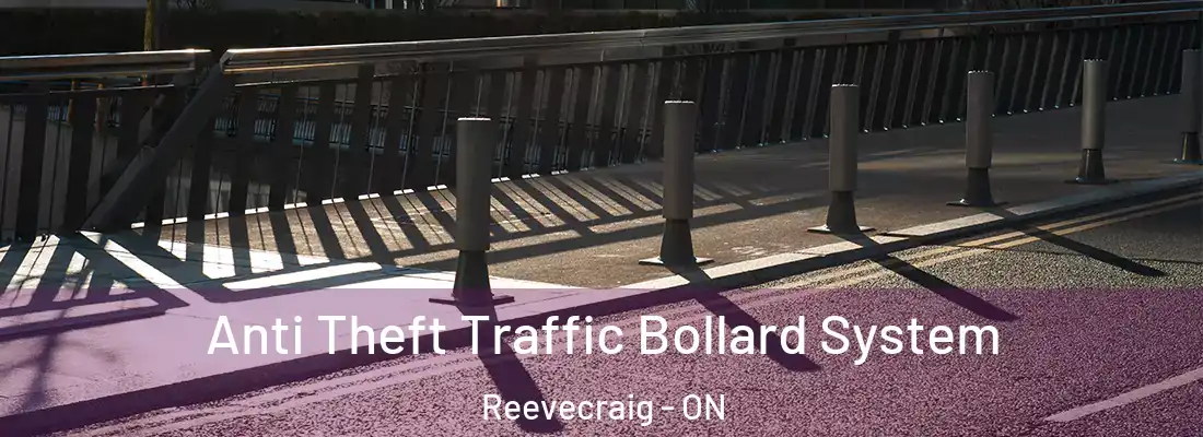  Anti Theft Traffic Bollard System Reevecraig - ON