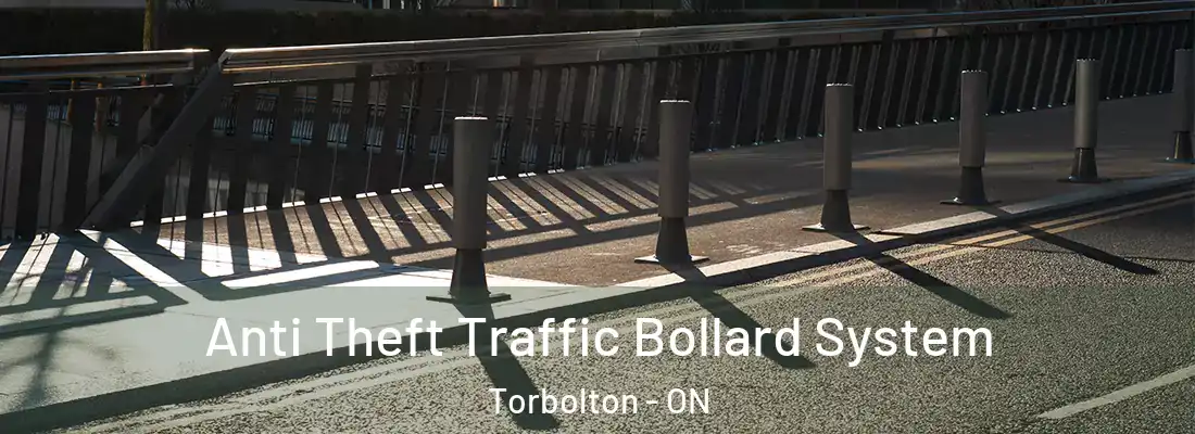  Anti Theft Traffic Bollard System Torbolton - ON