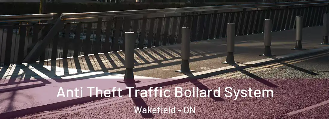  Anti Theft Traffic Bollard System Wakefield - ON