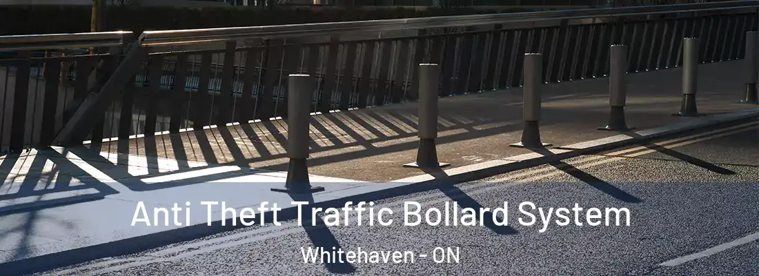  Anti Theft Traffic Bollard System Whitehaven - ON