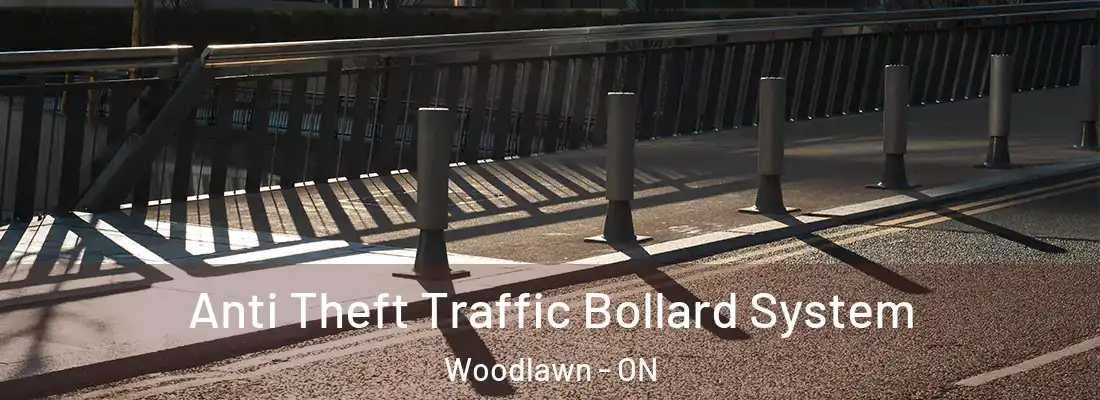  Anti Theft Traffic Bollard System Woodlawn - ON