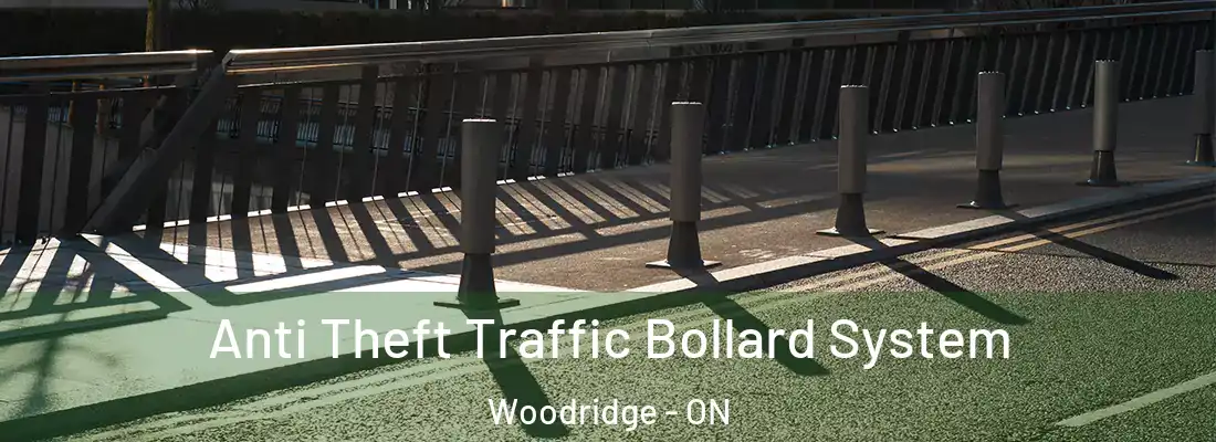  Anti Theft Traffic Bollard System Woodridge - ON