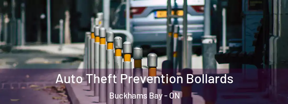  Auto Theft Prevention Bollards Buckhams Bay - ON