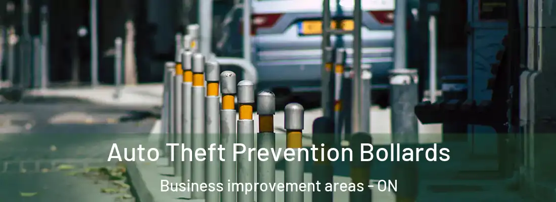  Auto Theft Prevention Bollards Business improvement areas - ON