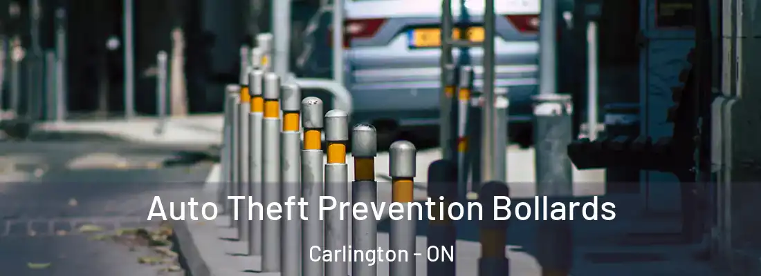  Auto Theft Prevention Bollards Carlington - ON