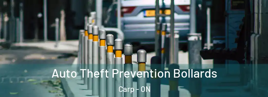  Auto Theft Prevention Bollards Carp - ON