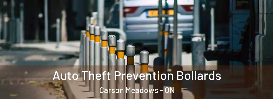  Auto Theft Prevention Bollards Carson Meadows - ON