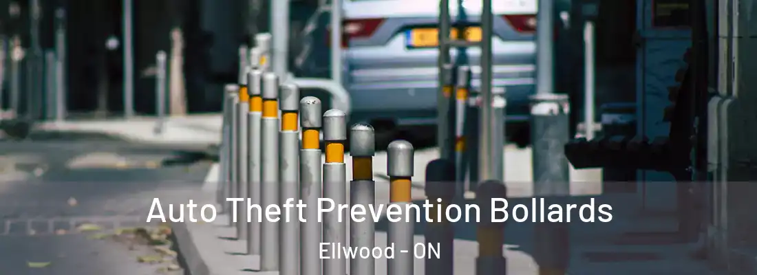  Auto Theft Prevention Bollards Ellwood - ON
