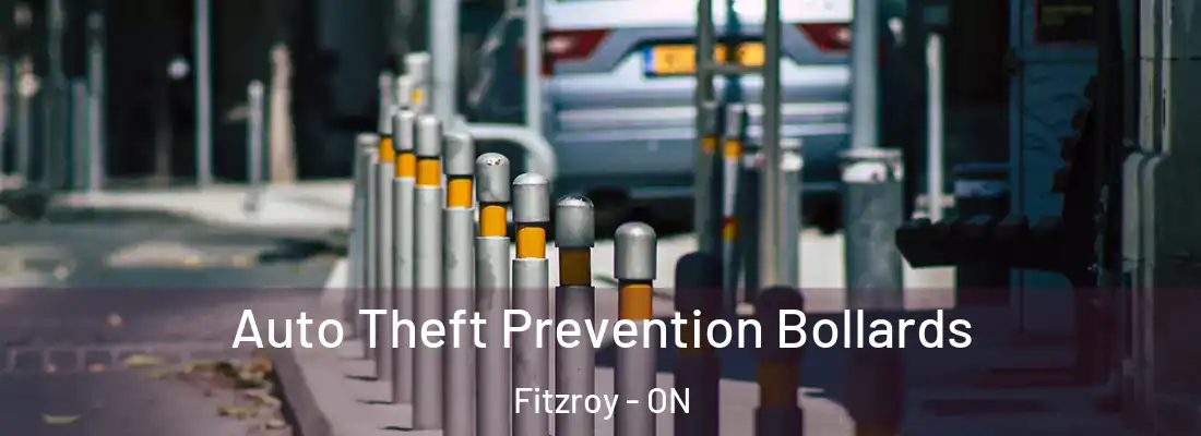  Auto Theft Prevention Bollards Fitzroy - ON