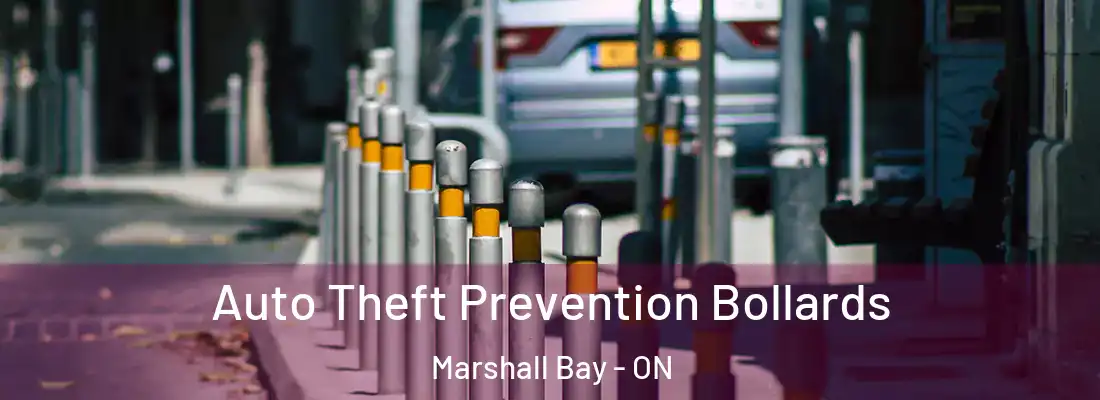  Auto Theft Prevention Bollards Marshall Bay - ON