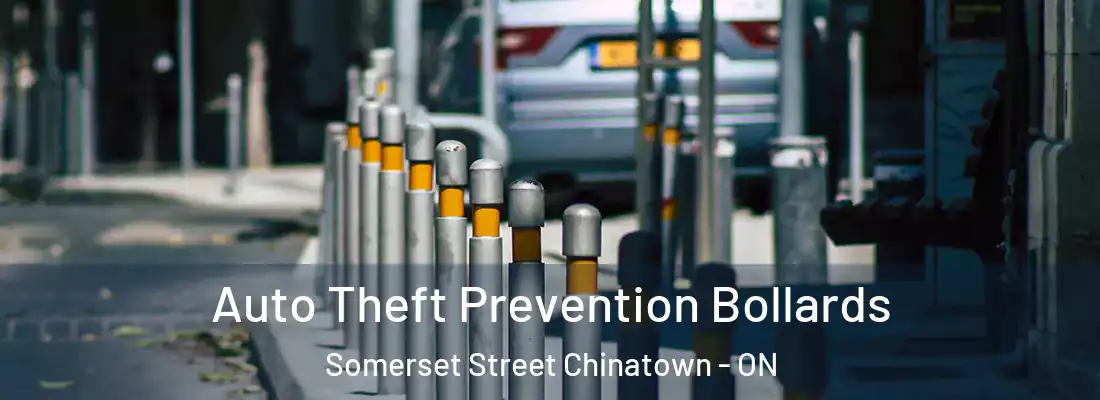  Auto Theft Prevention Bollards Somerset Street Chinatown - ON