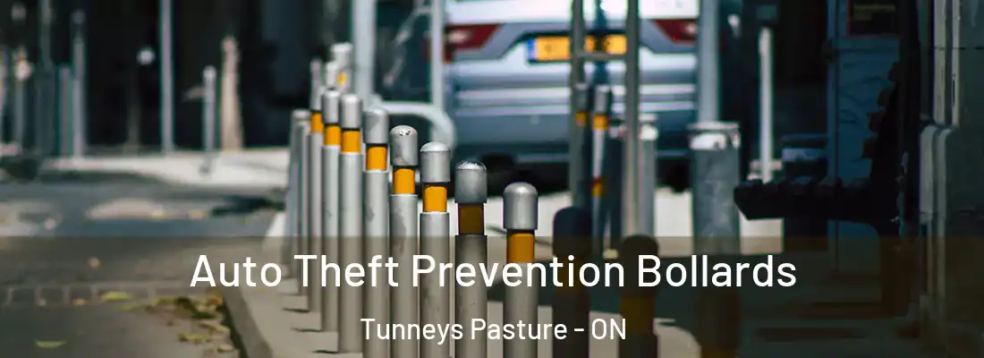 Auto Theft Prevention Bollards Tunneys Pasture - ON