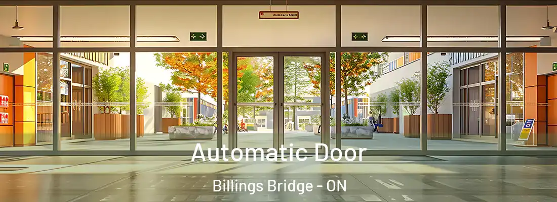  Automatic Door Billings Bridge - ON