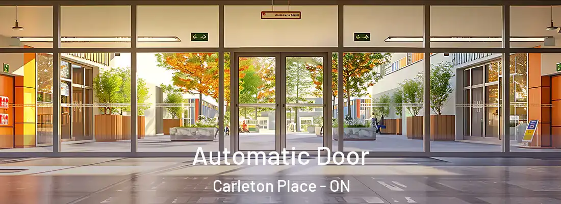  Automatic Door Carleton Place - ON