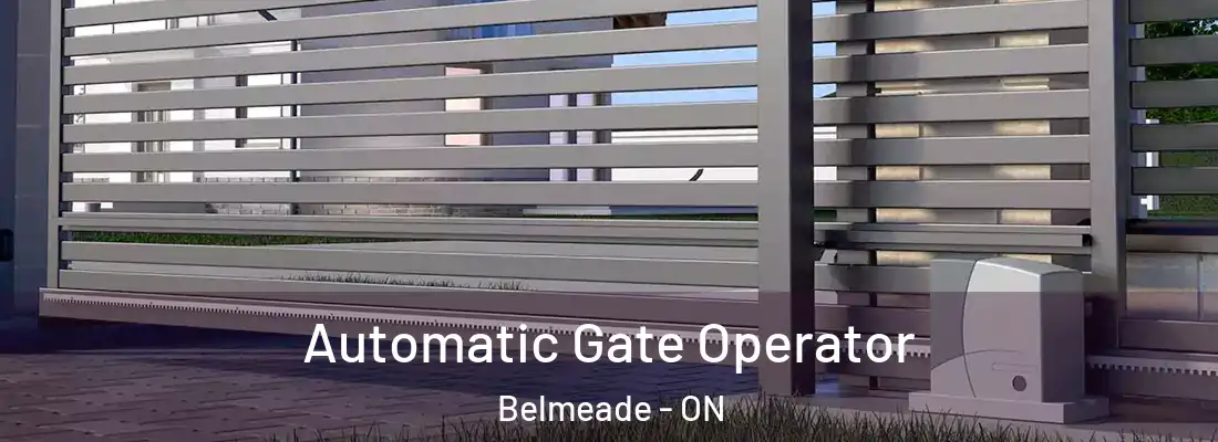  Automatic Gate Operator Belmeade - ON