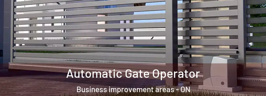  Automatic Gate Operator Business improvement areas - ON