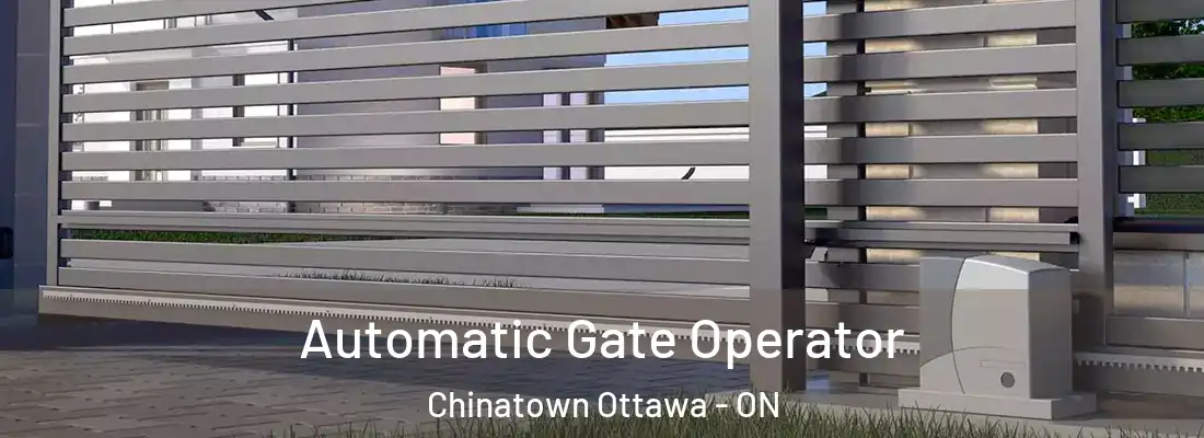  Automatic Gate Operator Chinatown Ottawa - ON