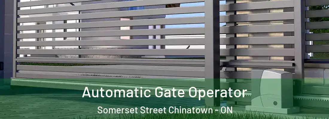  Automatic Gate Operator Somerset Street Chinatown - ON