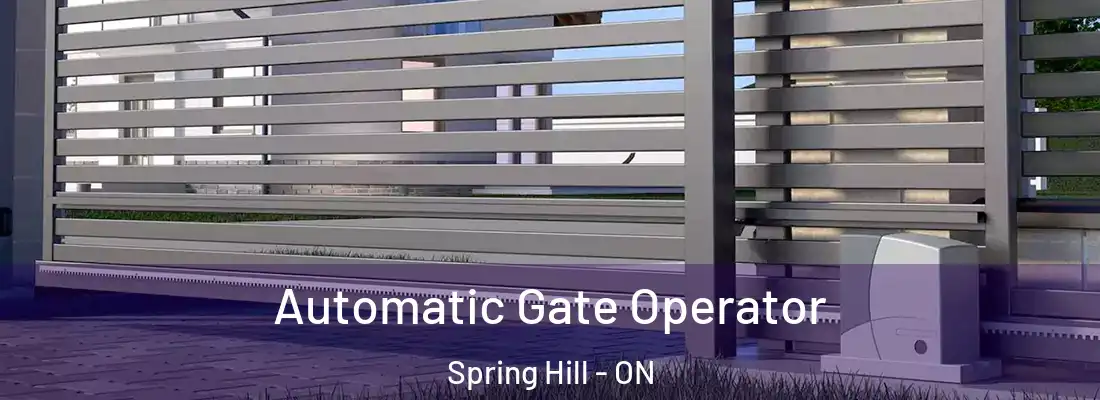  Automatic Gate Operator Spring Hill - ON