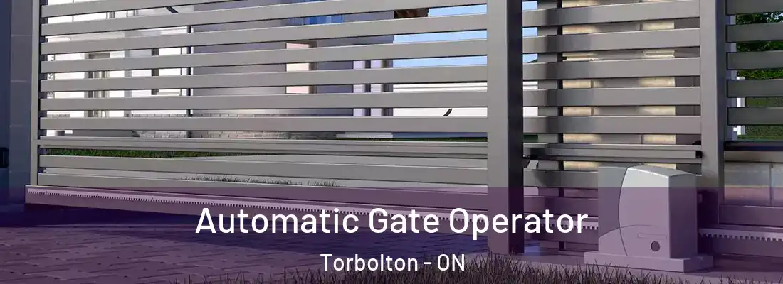  Automatic Gate Operator Torbolton - ON