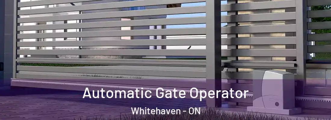  Automatic Gate Operator Whitehaven - ON