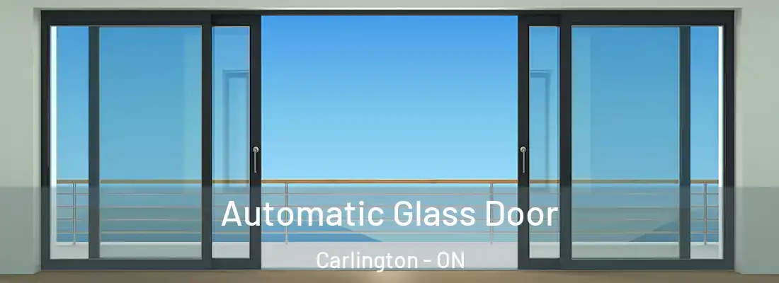  Automatic Glass Door Carlington - ON