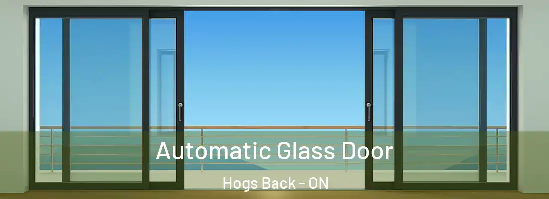  Automatic Glass Door Hogs Back - ON