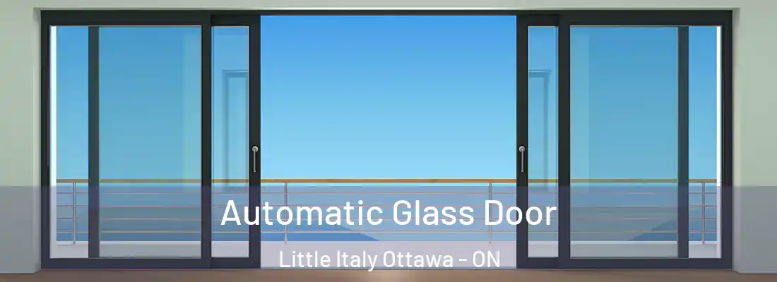  Automatic Glass Door Little Italy Ottawa - ON