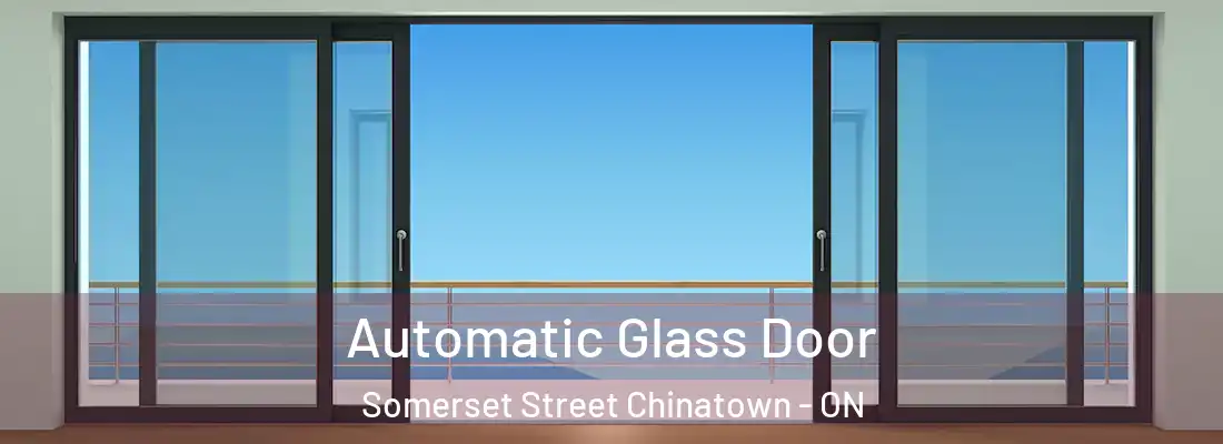  Automatic Glass Door Somerset Street Chinatown - ON