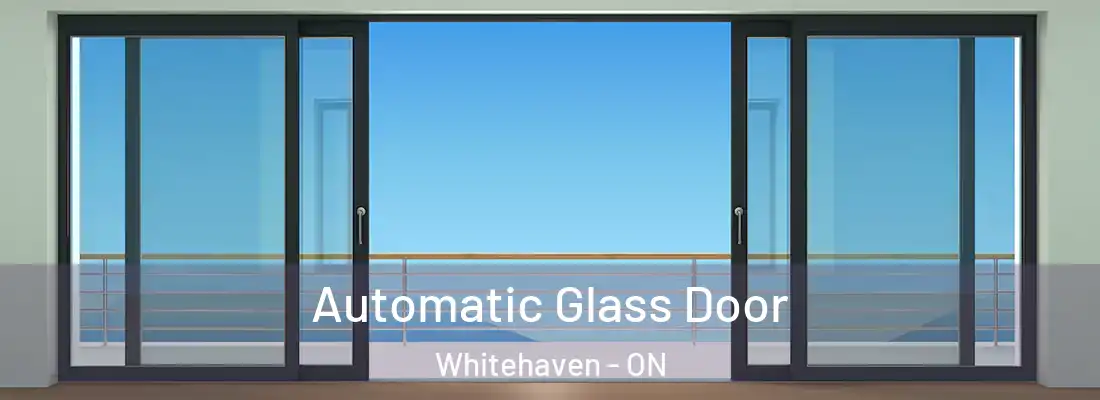  Automatic Glass Door Whitehaven - ON
