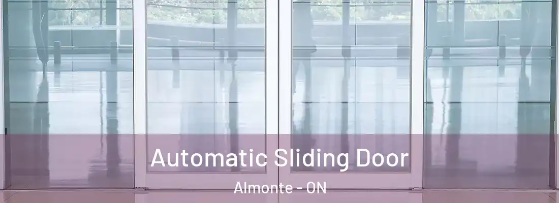  Automatic Sliding Door Almonte - ON