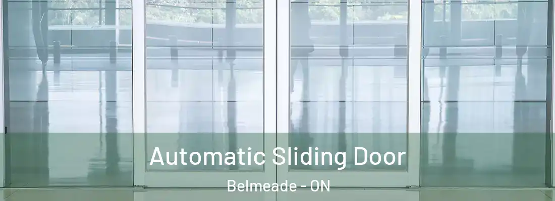  Automatic Sliding Door Belmeade - ON