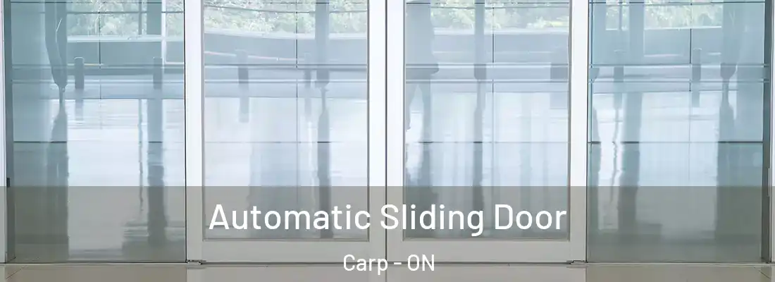  Automatic Sliding Door Carp - ON
