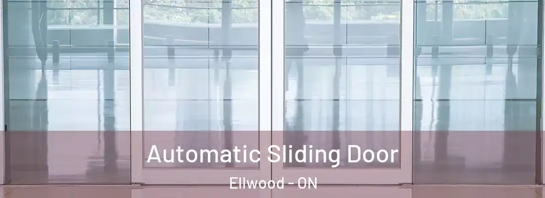  Automatic Sliding Door Ellwood - ON