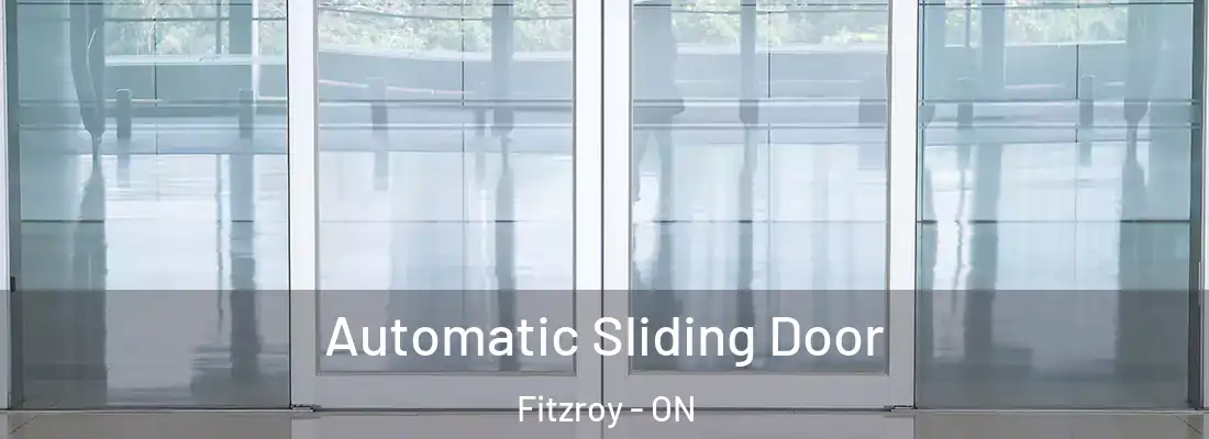  Automatic Sliding Door Fitzroy - ON