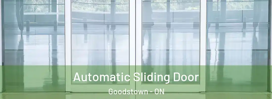  Automatic Sliding Door Goodstown - ON