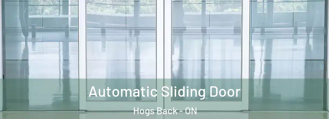  Automatic Sliding Door Hogs Back - ON