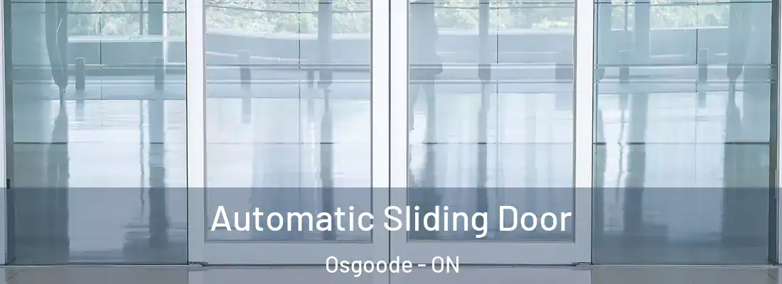  Automatic Sliding Door Osgoode - ON