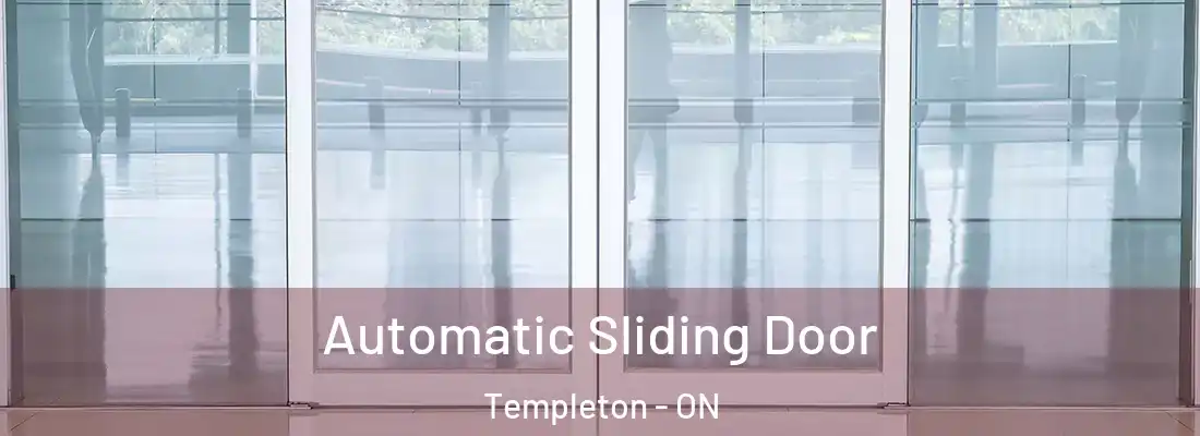  Automatic Sliding Door Templeton - ON