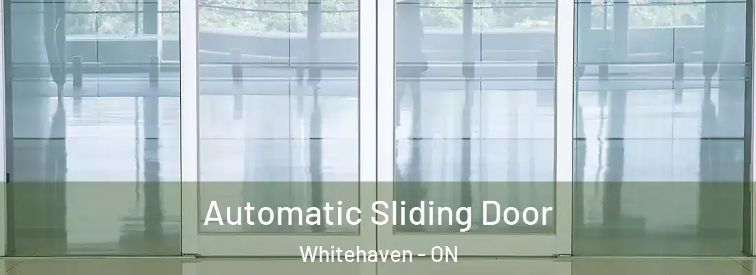  Automatic Sliding Door Whitehaven - ON