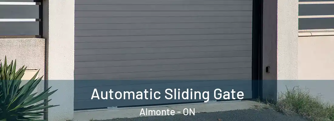  Automatic Sliding Gate Almonte - ON