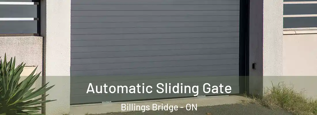  Automatic Sliding Gate Billings Bridge - ON