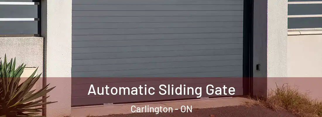  Automatic Sliding Gate Carlington - ON